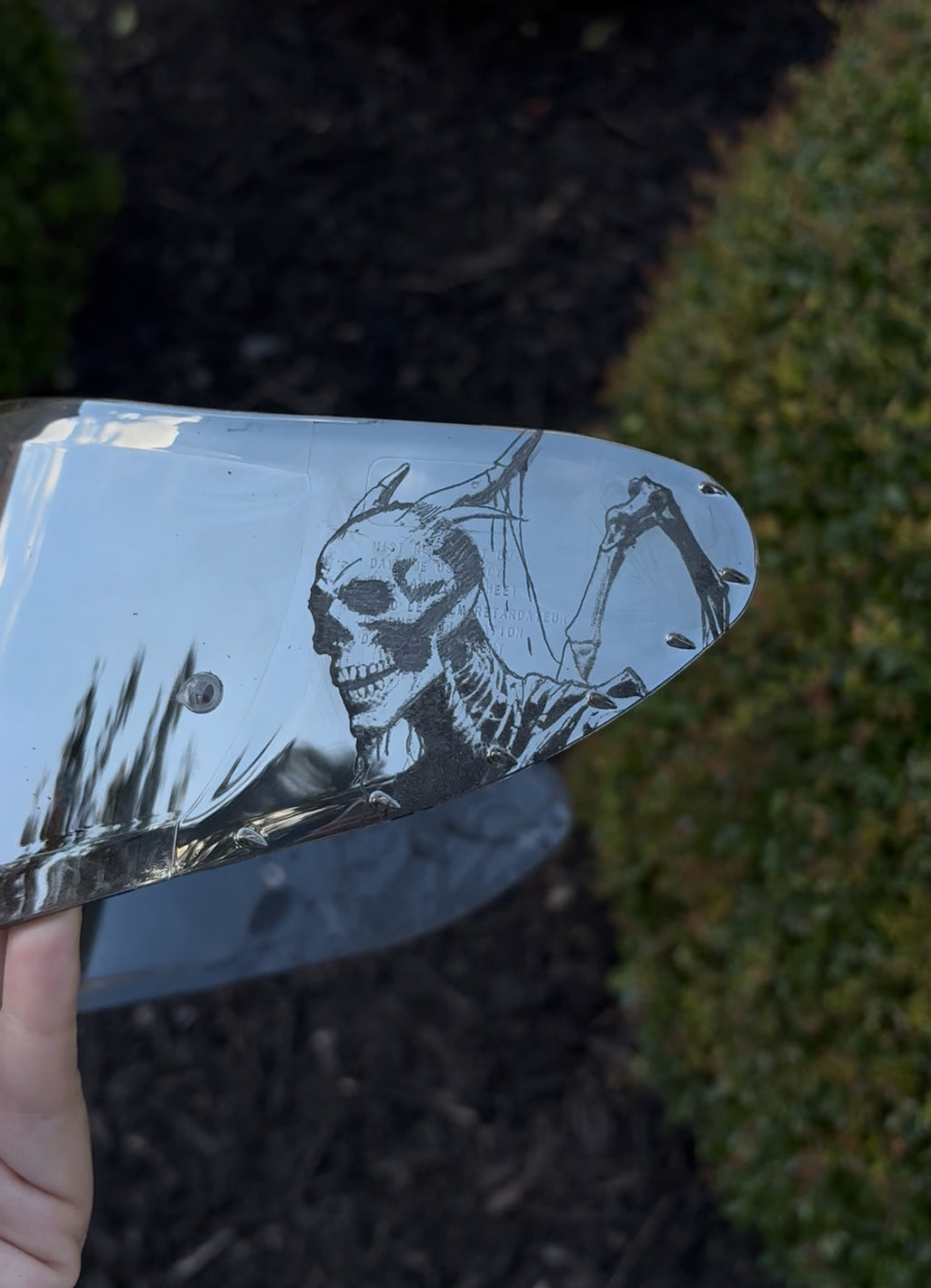 Skeletons Visor