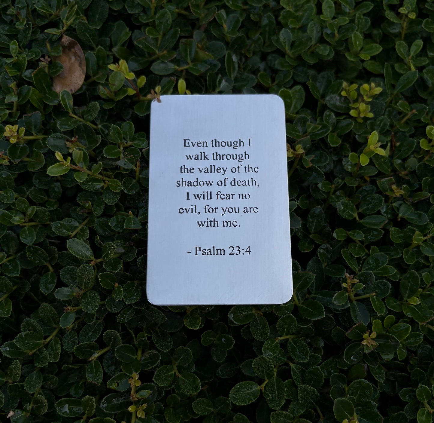Psalm 23:4 Wallet Insert