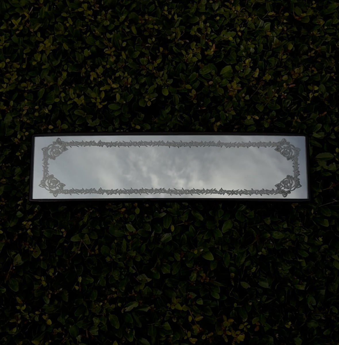 Thorns and Roses Mirror
