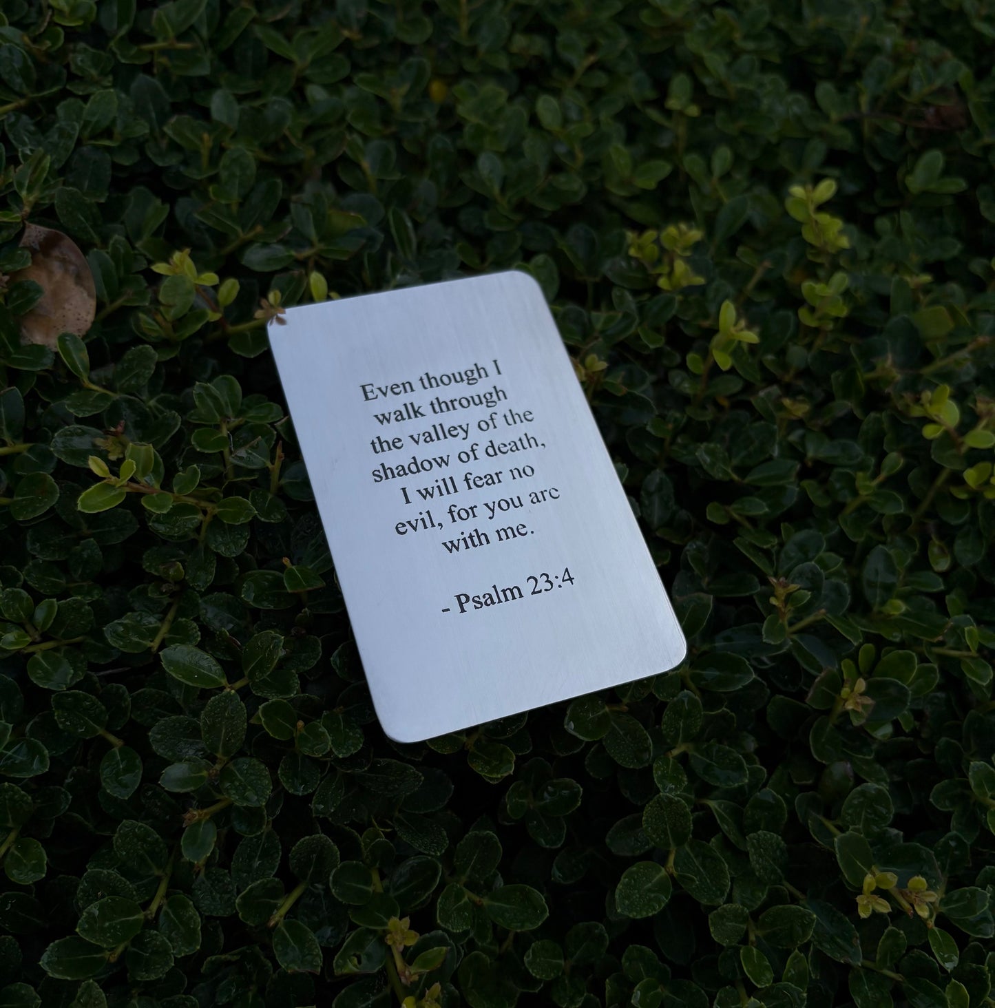 Psalm 23:4 Wallet Insert